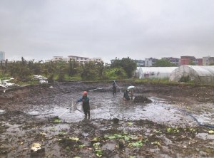 白城河道鱼塘清淤